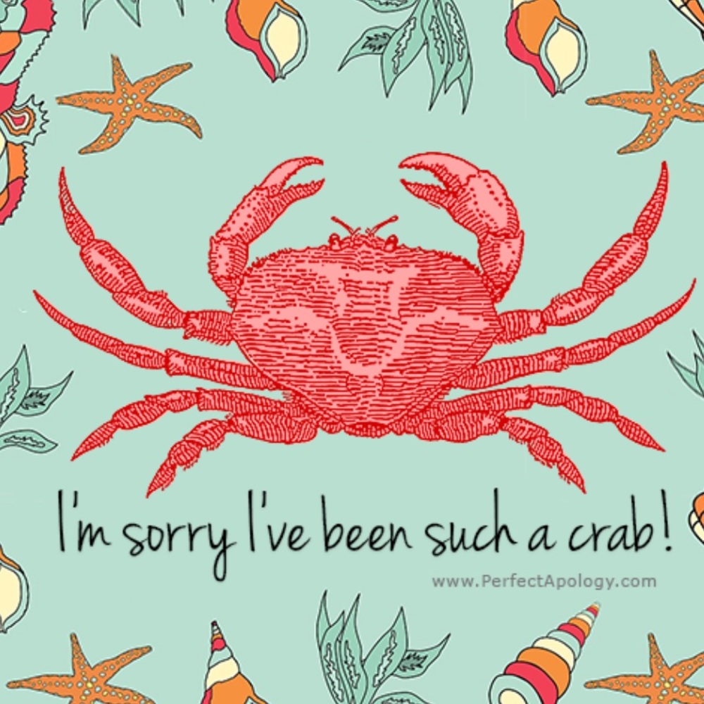 Apologies! Sorry to all of my buyers these past 2 years.